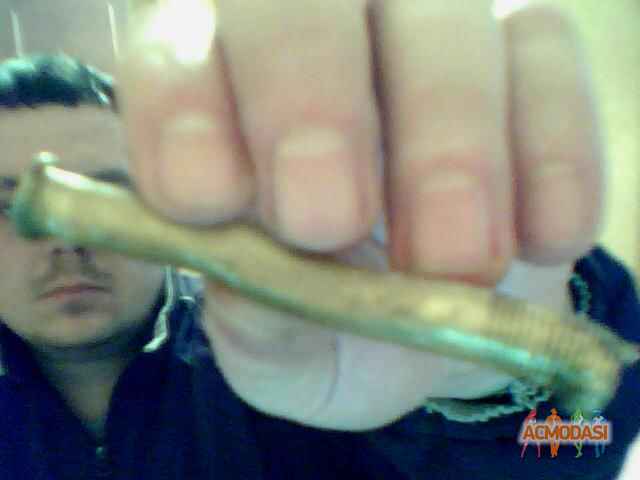 ЗОЛОТО ЗОЛОТО ЗОЛОТО фото №1165921. Завантажено 16 Січня 2018