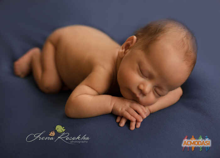 Александр Артемович Шило фото №898409. Завантажено 04 Квітня 2016