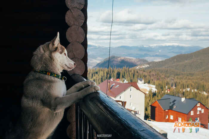 Тамара   фото №980144. Завантажено 03 Листопада 2016