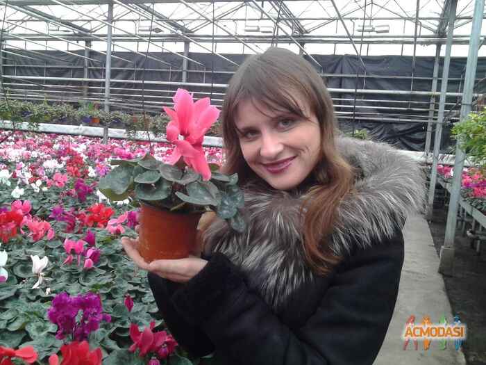 Наталія Миколаївна Ковган фото №1062219. Завантажено 04 Червня 2017