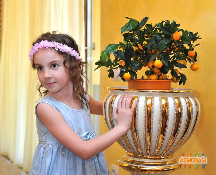 Ольга Сергіївна Салміна фото №783433. Завантажено 09 Лютого 2015