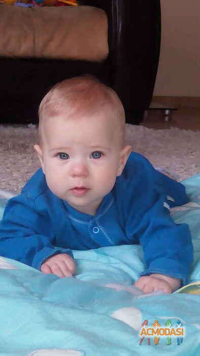 Захар Олександрович Попович фото №1044255. Завантажено 18 Квітня 2017