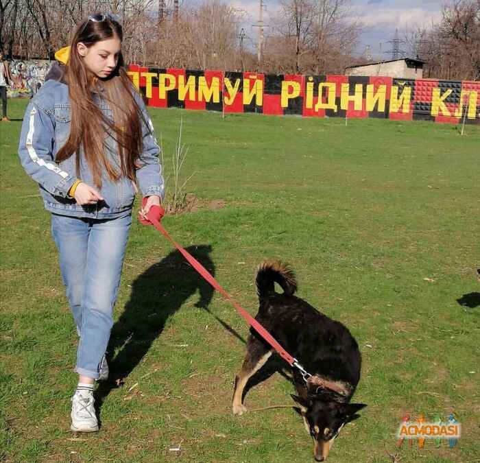 Катерина Олексіївна Іванова фото №1527509. Завантажено 06 Травня 2020