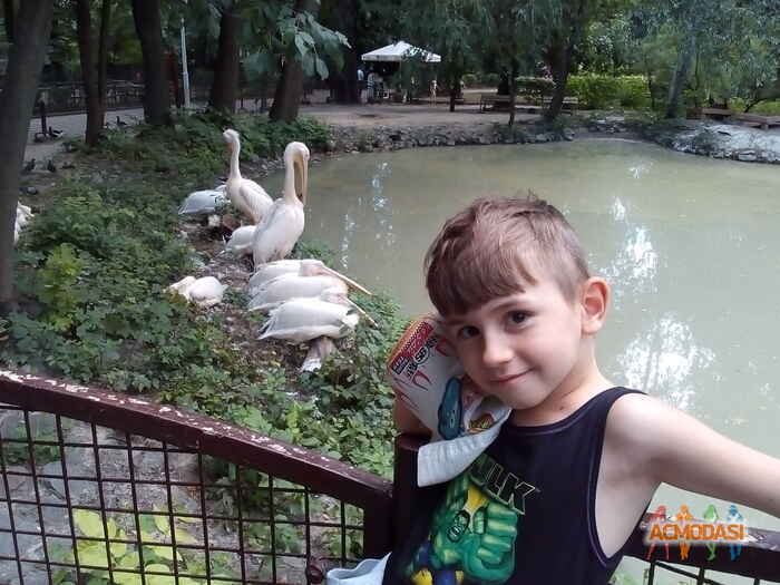 Ольга   фото №1259725. Завантажено 17 Липня 2018