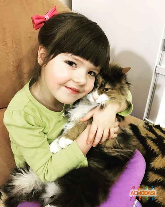 Кристина Витальевна Постернак фото №1017082. Завантажено 07 Лютого 2017