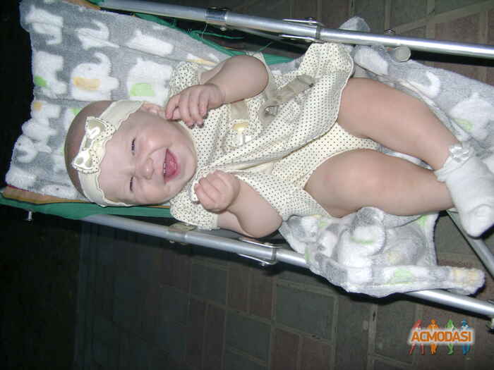 Олена   фото №1020063. Завантажено 14 Лютого 2017