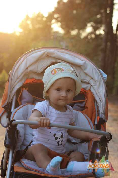 Тимур Артурович Калита фото №1103121. Завантажено 12 Вересня 2017