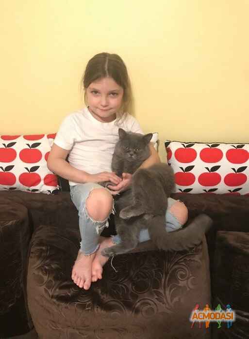 Алла  Сницар фото №1364379. Завантажено 12 Лютого 2019