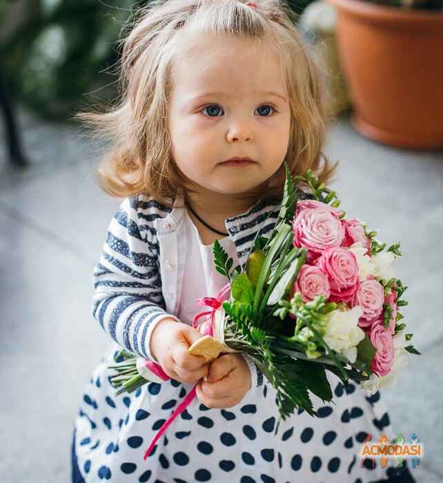 Ярослава Владимировна Собко фото №886562. Завантажено 29 Лютого 2016
