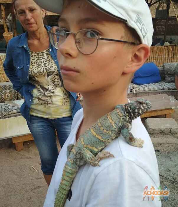 Маркіян  Хомічак фото №1575051. Завантажено 15 Жовтня 2020