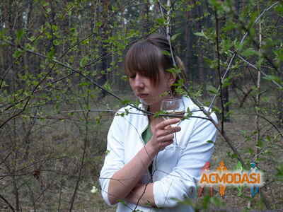 Анастасия  Борисова фото №14195. Завантажено 16 Січня 2010