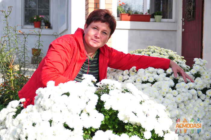 Тетяна Володимирівна Голік фото №798038. Завантажено 26 Квітня 2015