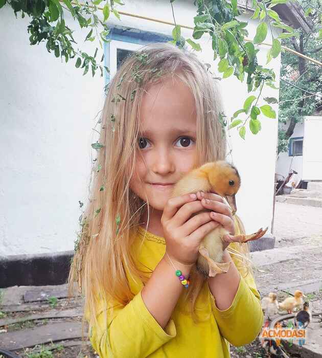 Ева   фото №1453316. Завантажено 26 Вересня 2019