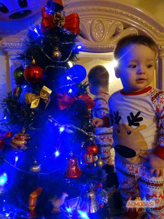 галина михайлівна парасюк фото №1016423. Завантажено 05 Лютого 2017