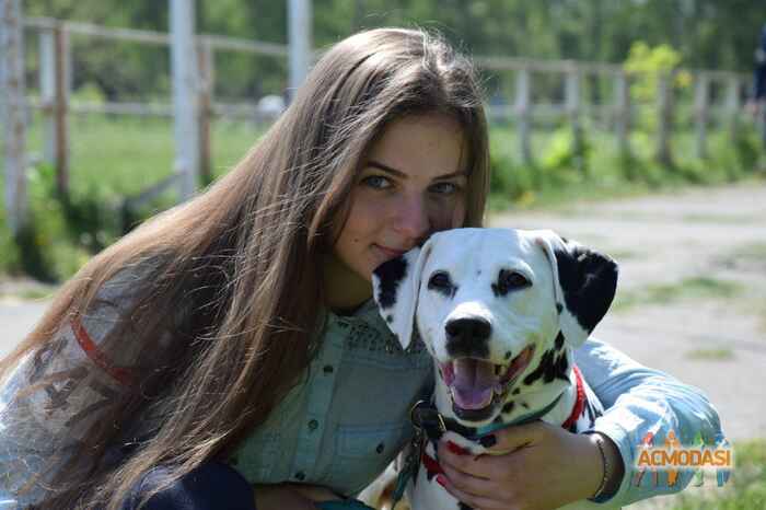 Вікторія Юріївна Максимова фото №1077637. Завантажено 11 Липня 2017