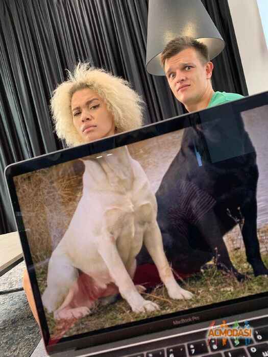 MV company   фото №1456308. Завантажено 03 Жовтня 2019