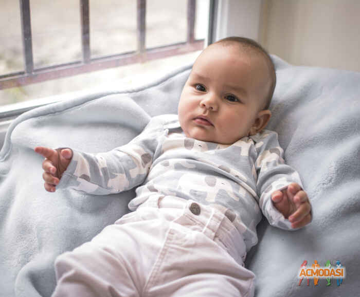 Веремій Юрійович Голиш фото №1138802. Завантажено 18 Листопада 2017