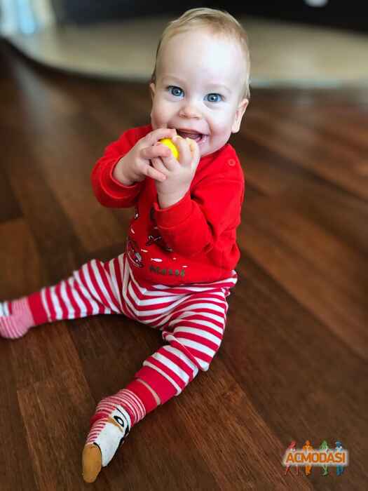 Леонардо   фото №1537922. Завантажено 11 Червня 2020