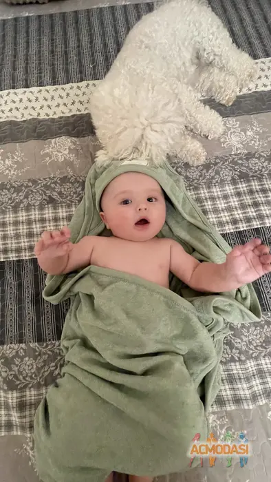 Арсен Олександрович Пивоваров фото №1746107. Завантажено 12 Серпня 2025