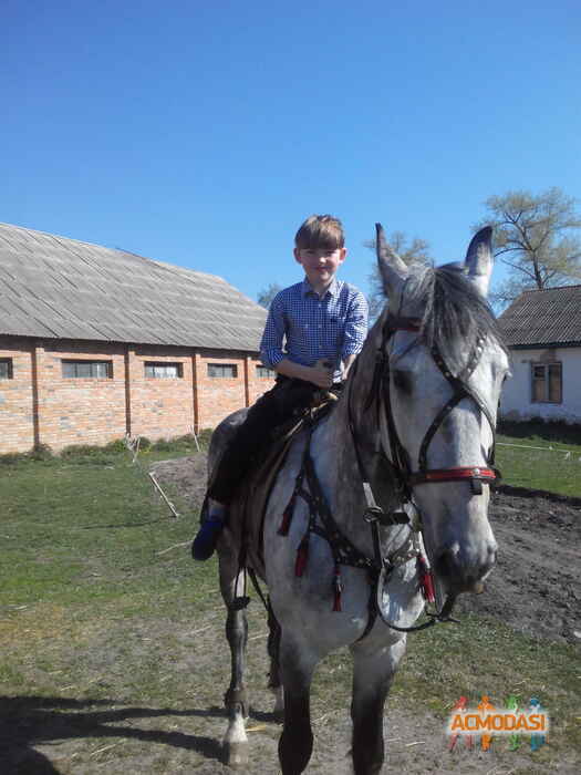 Віталій Вікторович Візір фото №1024421. Завантажено 23 Лютого 2017
