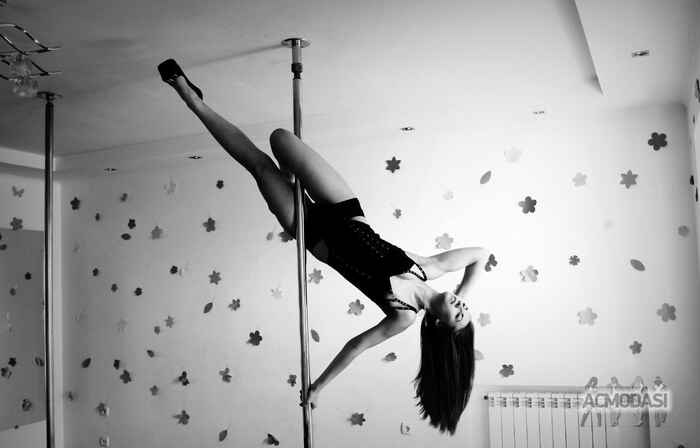 Стась Анжеліка Дмитрівна фото №886383. Завантажено 28 Лютого 2016