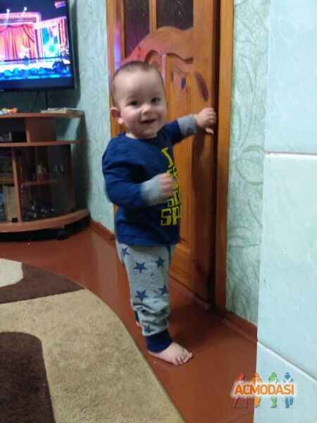 Михайло Дмитрович Цвігун фото №1010655. Завантажено 22 Січня 2017