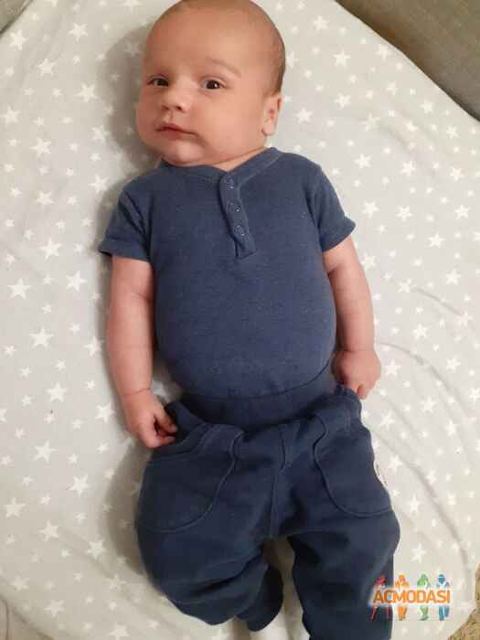 Όλια  Πουλάτοβα фото №1482067. Завантажено 30 Листопада 2019