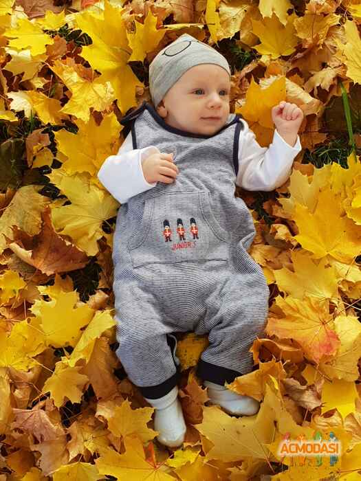 Веніамін   фото №1491033. Завантажено 24 Грудня 2019