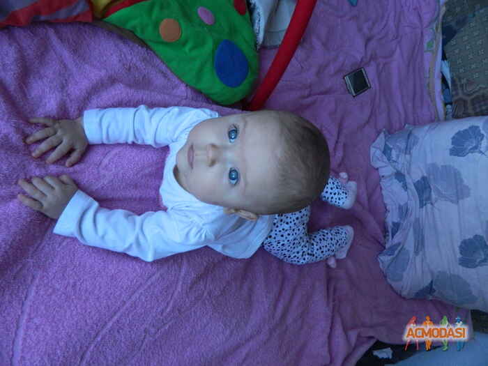 София Филипповна Родина фото №588055. Завантажено 03 Лютого 2014