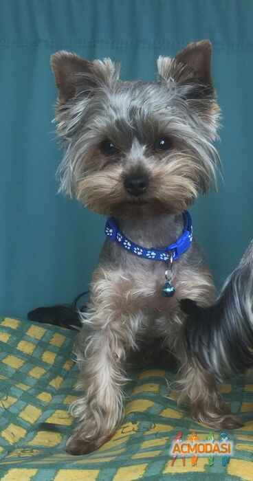 Наталія Семенівна Назар фото №1466705. Завантажено 27 Жовтня 2019