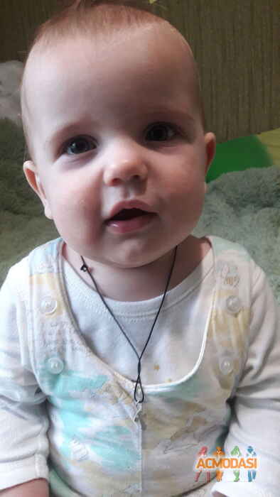 Олександр Дмитрович Сорока фото №1115542. Завантажено 10 Жовтня 2017