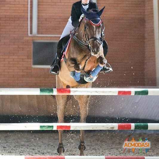 Аня  Пшеничная фото №1131045. Завантажено 06 Листопада 2017