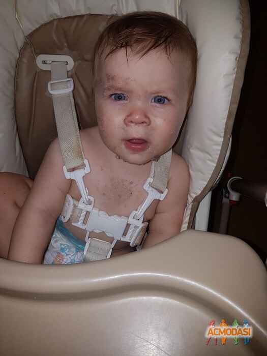 Марсель Сергеевич Радчук фото №1110324. Завантажено 29 Вересня 2017