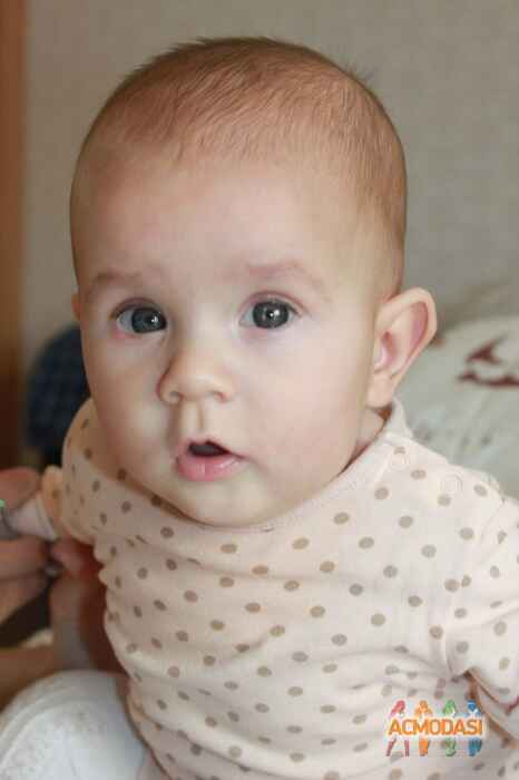 Варвара Андріївна Кошара фото №1181993. Завантажено 08 Лютого 2018