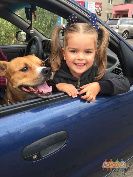 Полина Гребенщикова  фото №1108603. Завантажено 25 Вересня 2017