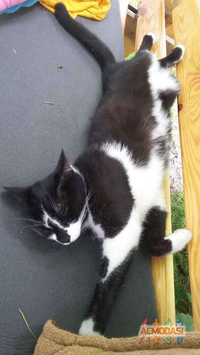 Анастасия Петровна Панченко фото №1155907. Завантажено 23 Грудня 2017