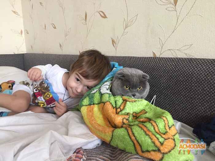 Егор Сергеевич Шевченко фото №1196518. Завантажено 27 Лютого 2018