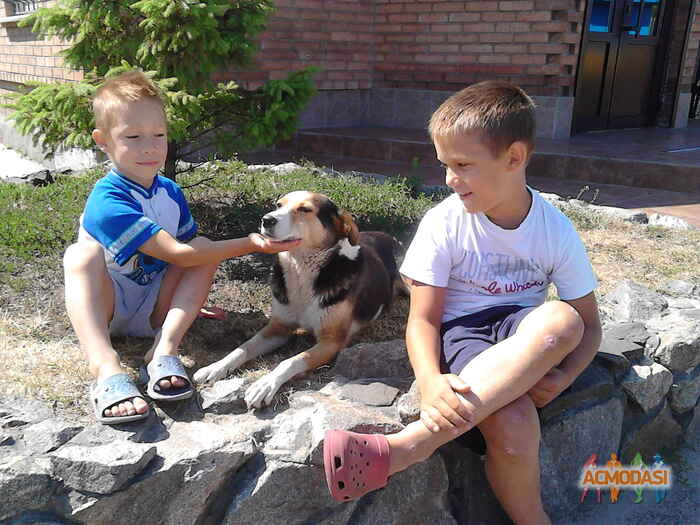 Анастасия Руслановна Сизикова фото №1148422. Завантажено 05 Грудня 2017