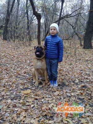 Іван Максимович Супроткин фото №1130811. Завантажено 05 Листопада 2017