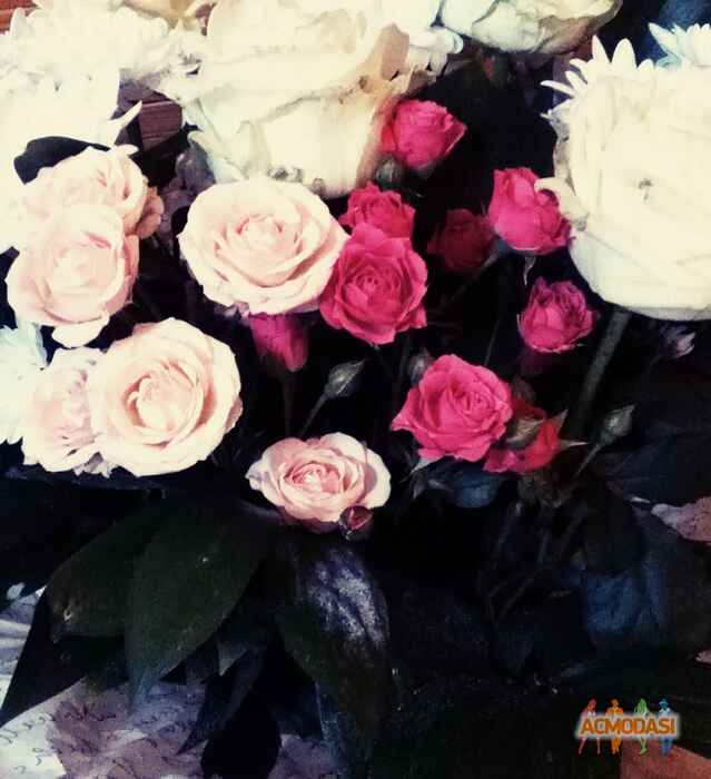 Natasha   фото №1011706. Завантажено 25 Січня 2017