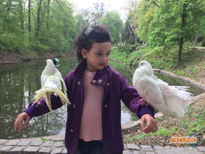 Ангелина Ярославовна Тарасенко фото №1054770. Завантажено 16 Травня 2017