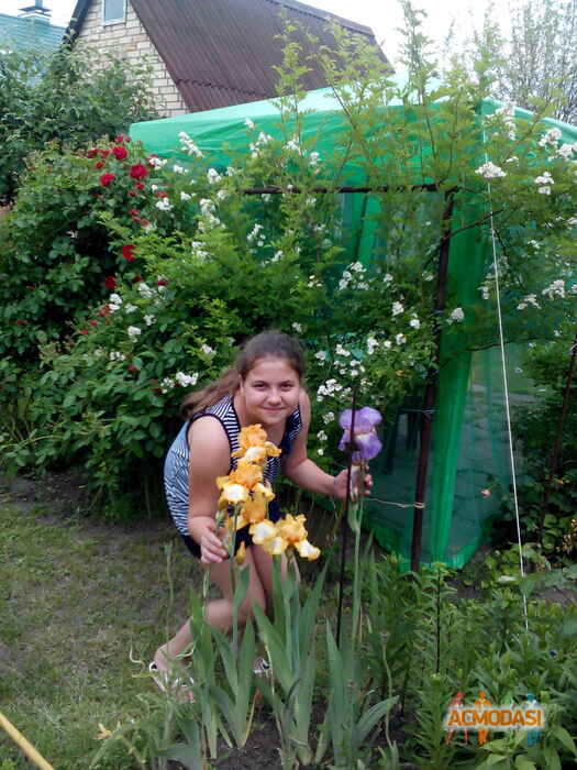 Александра Сергеевна Грибова фото №823527. Завантажено 19 Серпня 2015