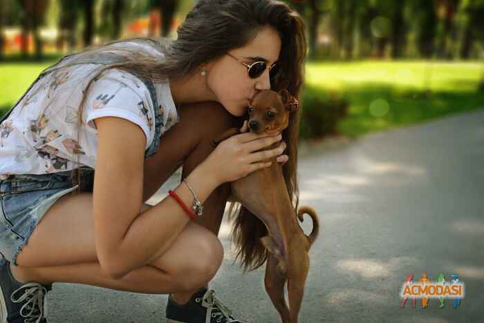 Полина Павловна Пикинер фото №1117087. Завантажено 12 Жовтня 2017