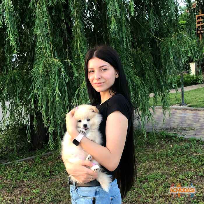 Валерия Дмитриевна Терлецкая фото №1435591. Завантажено 14 Серпня 2019