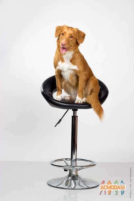 Татьяна Андреевна  фото №938368. Завантажено 30 Липня 2016