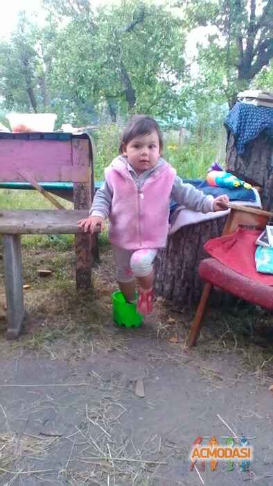 Олександра Дмитрівна Тимошенко фото №1113294. Завантажено 06 Жовтня 2017