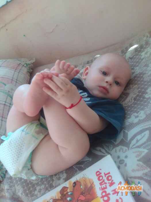 Ольга  Лендел фото №1113364. Завантажено 06 Жовтня 2017