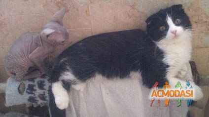 Alla   фото №1149220. Завантажено 06 Грудня 2017