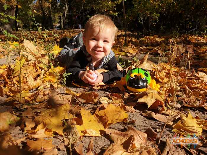 Михаил  Пилипенко фото №1484330. Завантажено 05 Грудня 2019