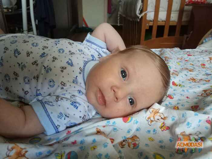 Maksimka   фото №1064198. Завантажено 09 Червня 2017